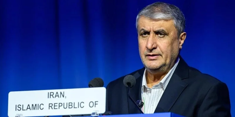 Iranian Nuclear Chief Barred From Attending IAEA Conference in Vienna